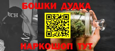a pvp Новодвинск