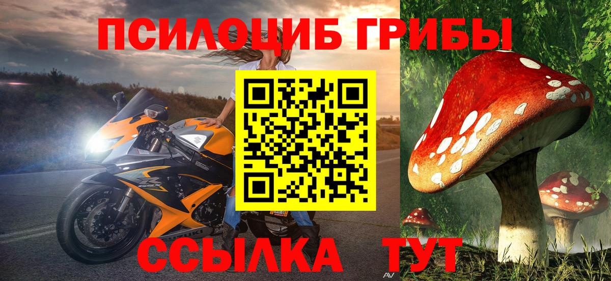 Псилоцибиновые грибы мицелий Соль-Илецк